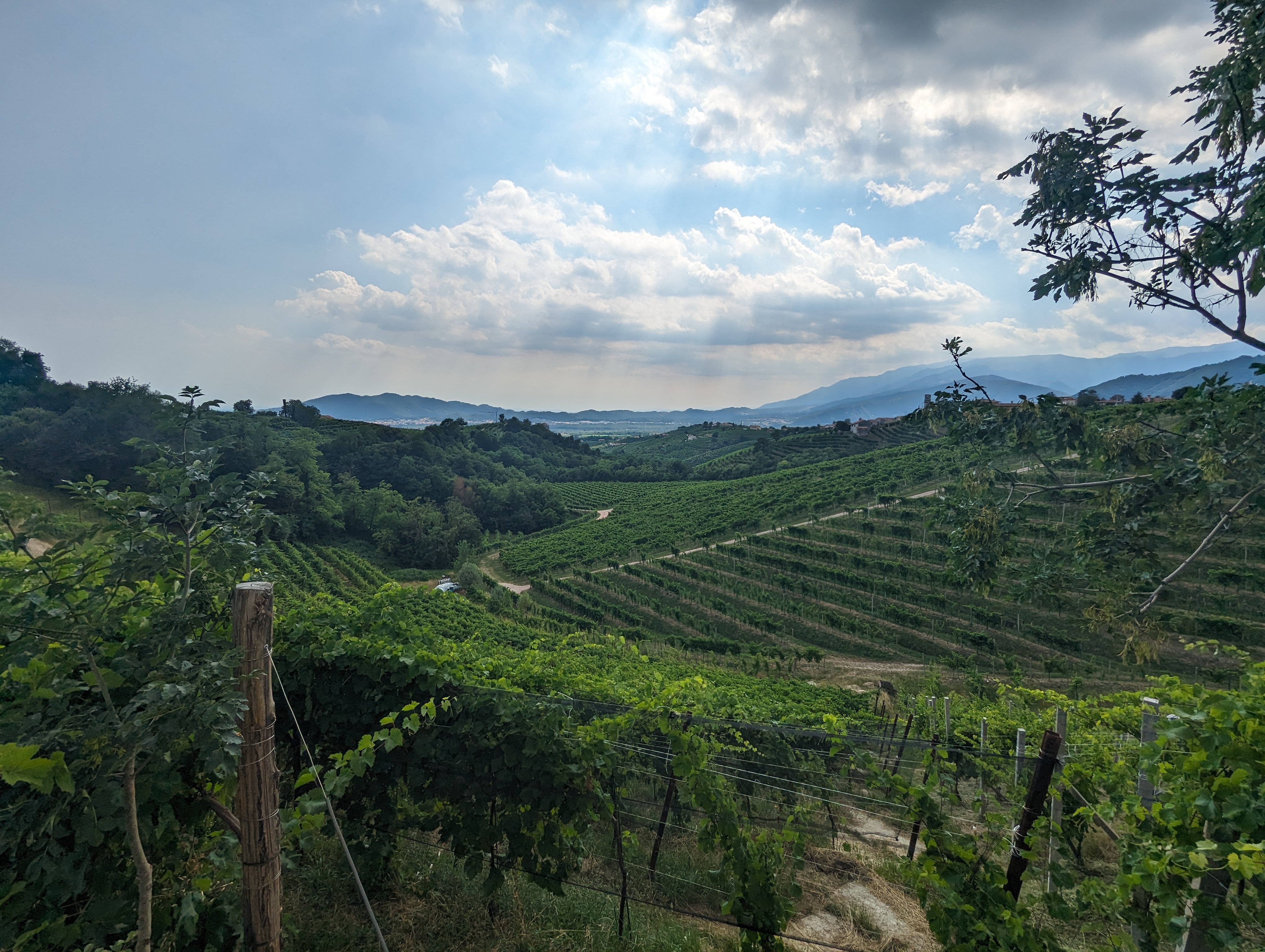 Vinica vo Valdobbiadene
